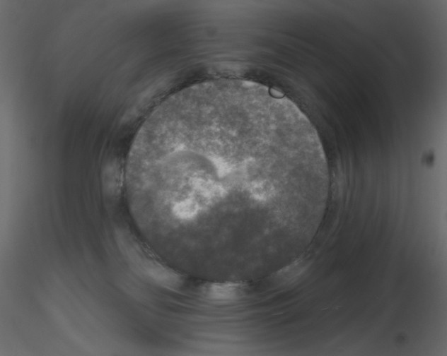 X0000115670134200912241427