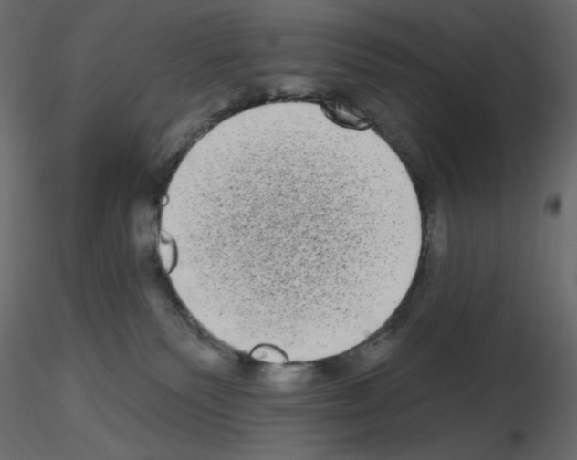 X0000115670135200912241427