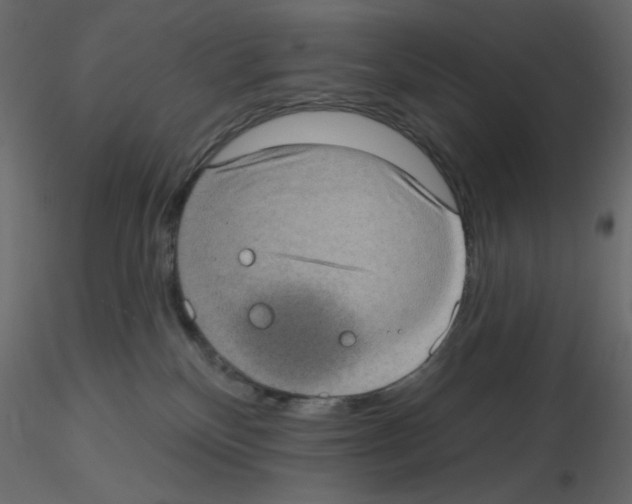 X0000115670136200912241427