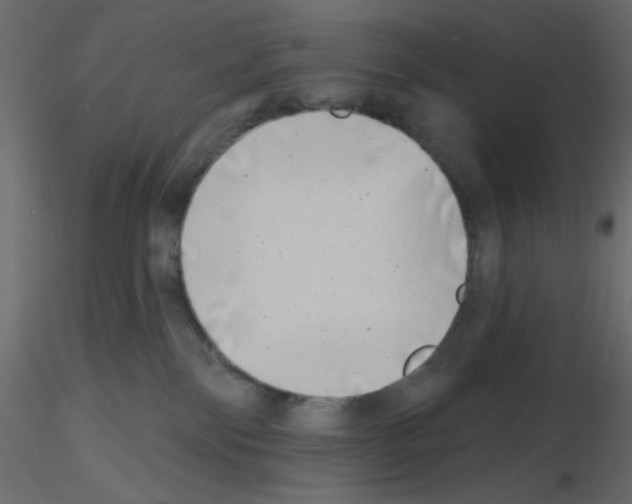 X0000115670138200912241427