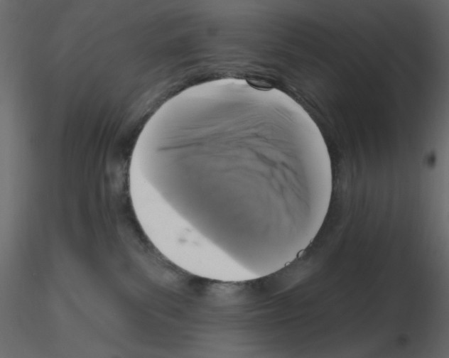 X0000115670139200912241427