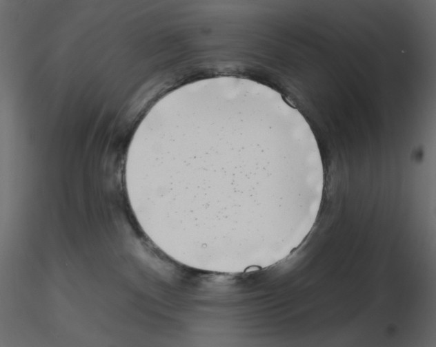 X0000115670140200912241427