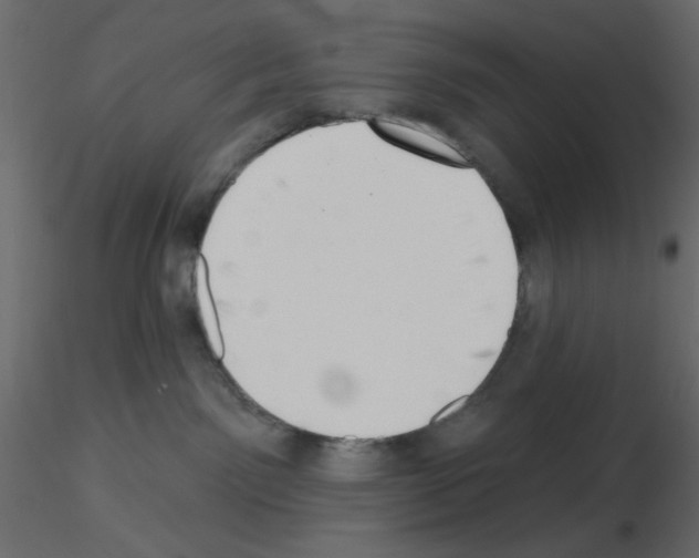 X0000115670141200912241427