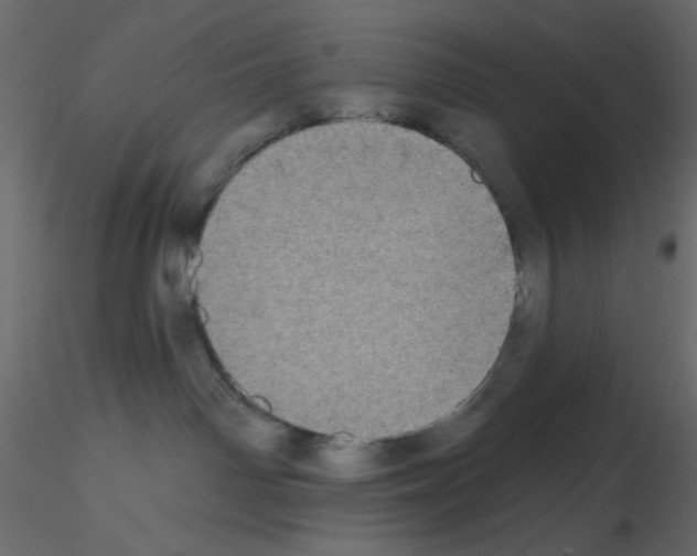 X0000115670142200912241427