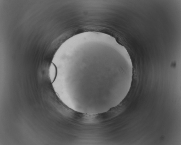 X0000115670143200912241427