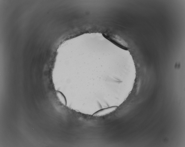 X0000115670144200912241427