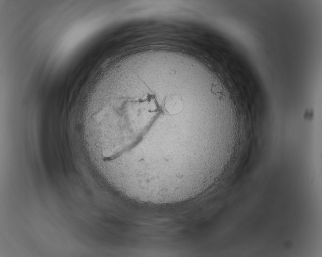 X0000115670146200912241427