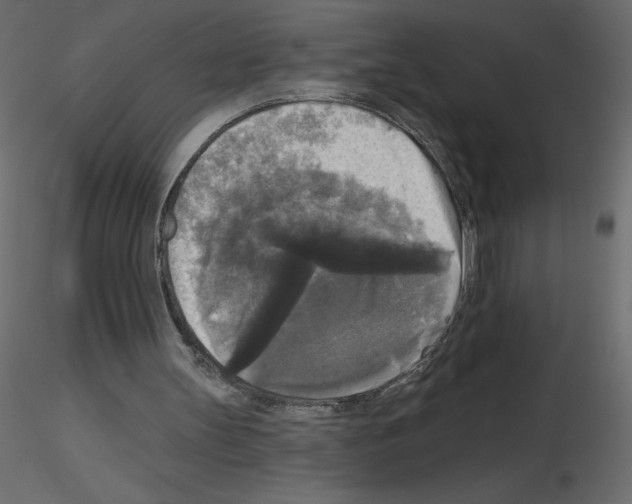 X0000115670147200912241427