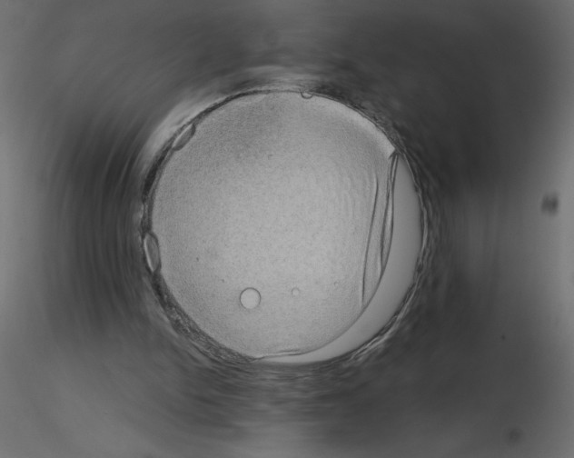 X0000115670150200912241427