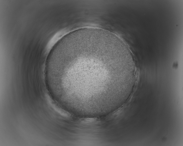 X0000115670151200912241427