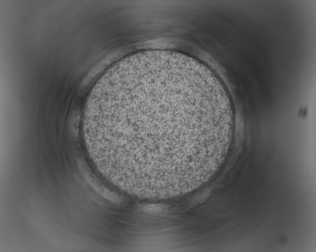 X0000115670153200912241427