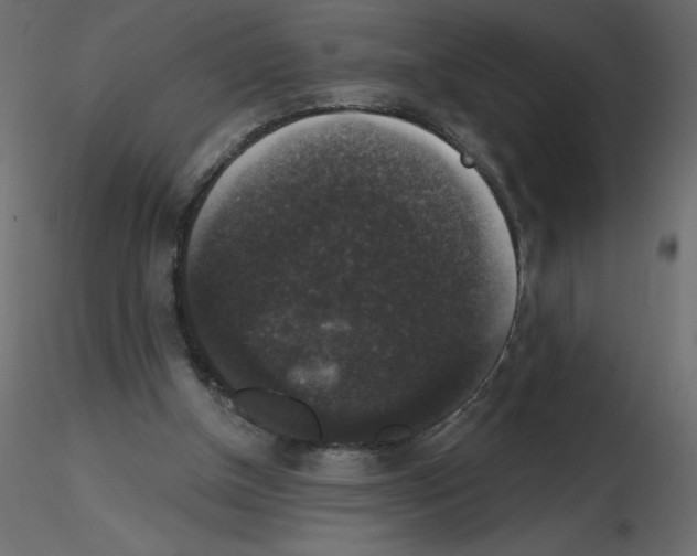 X0000115670154200912241427