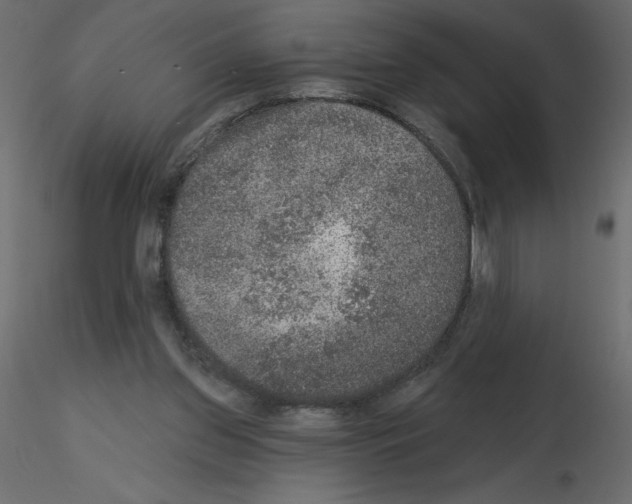 X0000115670157200912241427