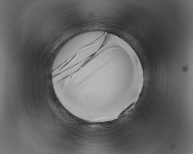 X0000115670158200912241427