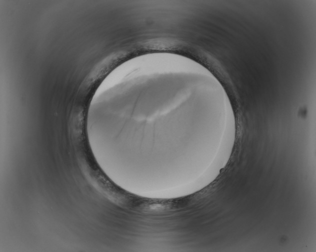 X0000115670163200912241427