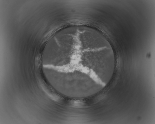 X0000115670165200912241427