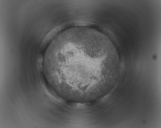 X0000115670166200912241427