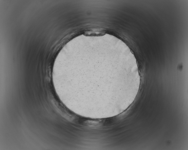 X0000115670170200912241427