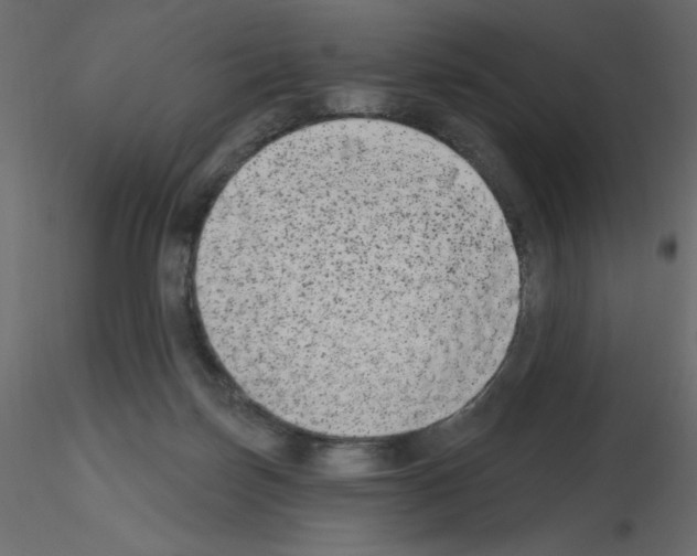 X0000115670171200912241427