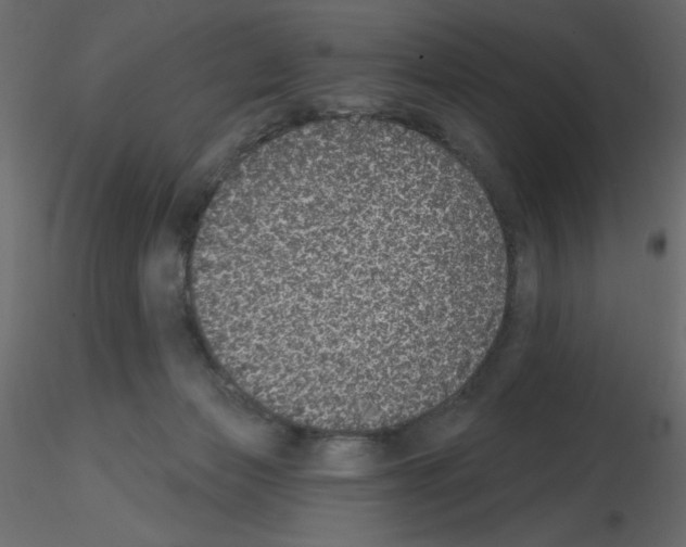 X0000115670173200912241427