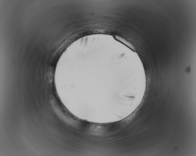 X0000115670174200912241427