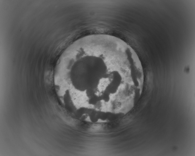 X0000115670177200912241427