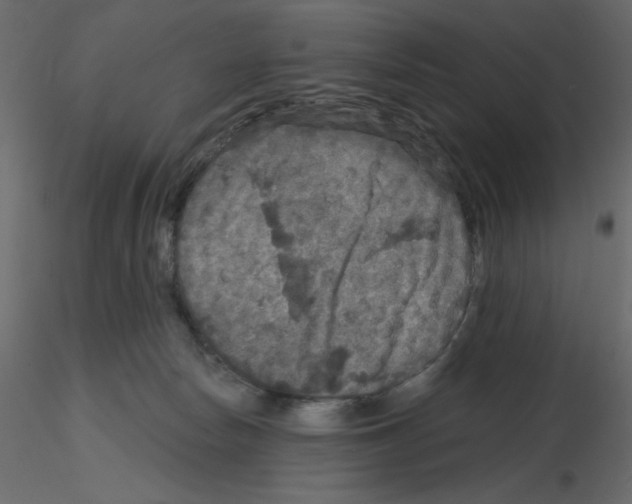 X0000115670178200912241427