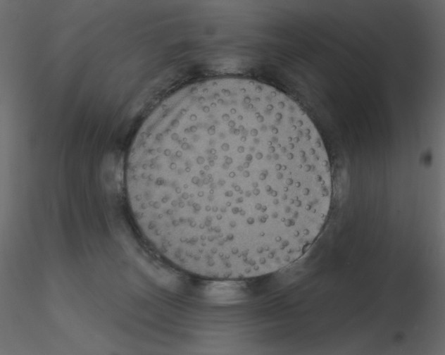 X0000115670179200912241427