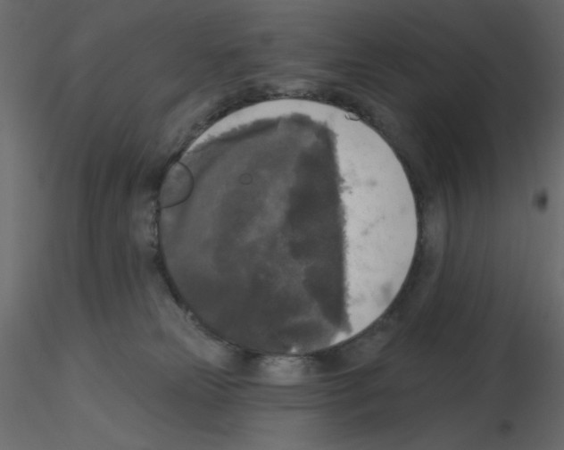 X0000115670181200912241427