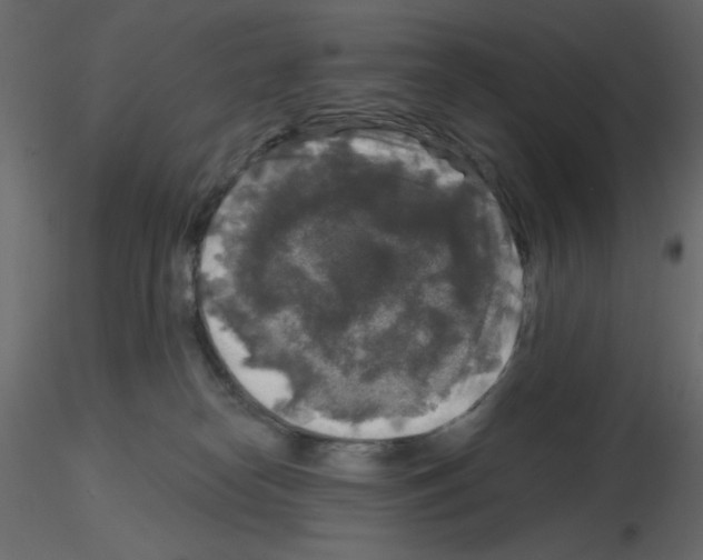 X0000115670182200912241427