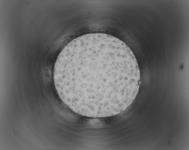 X0000115670183200912241427