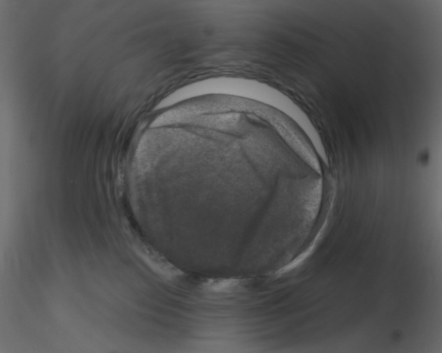 X0000115670186200912241427