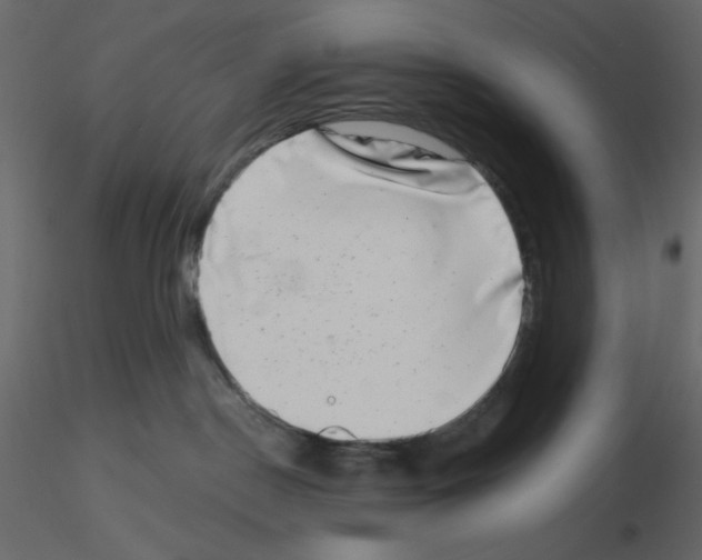 X0000115670190200912241427