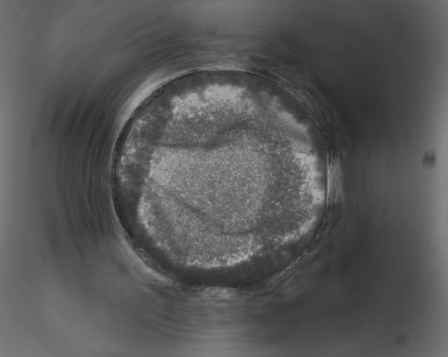 X0000115670195200912241427