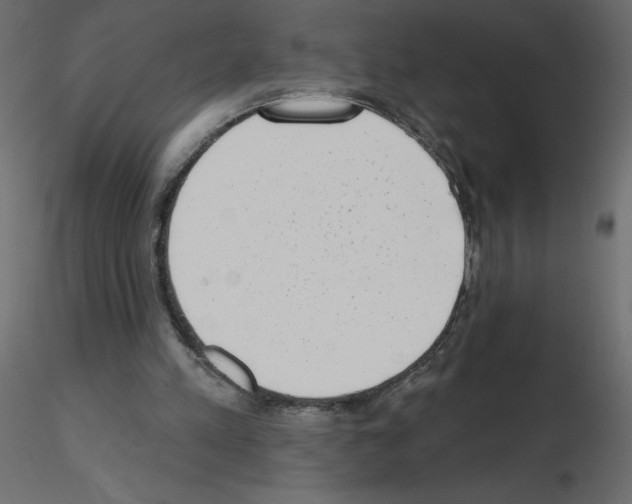 X0000115670197200912241427