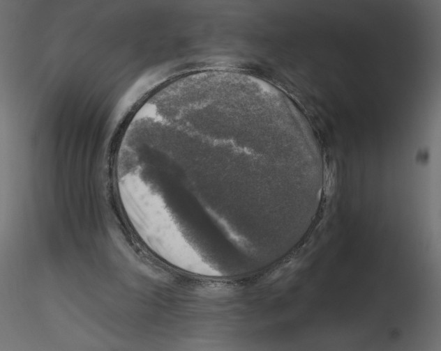 X0000115670198200912241427