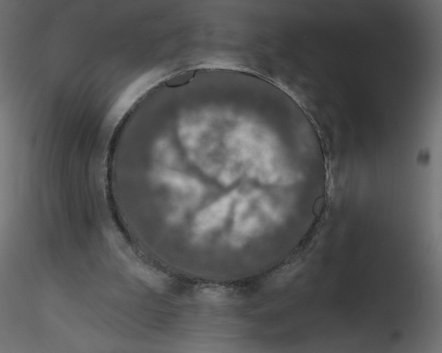 X0000115670199200912241427