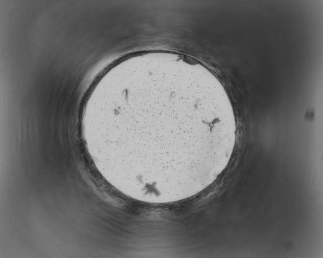 X0000115670200200912241427