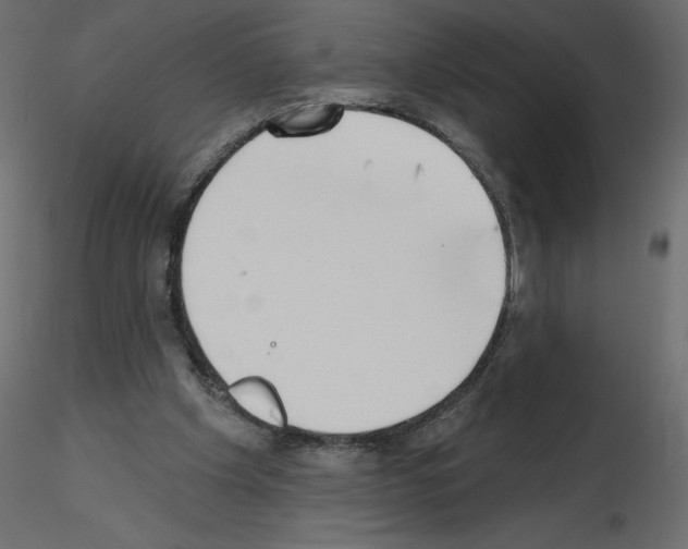 X0000115670201200912241427