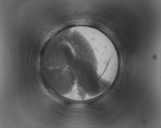 X0000115670202200912241427