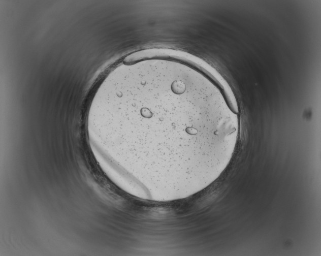 X0000115670204200912241427