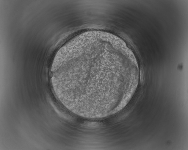 X0000115670205200912241427