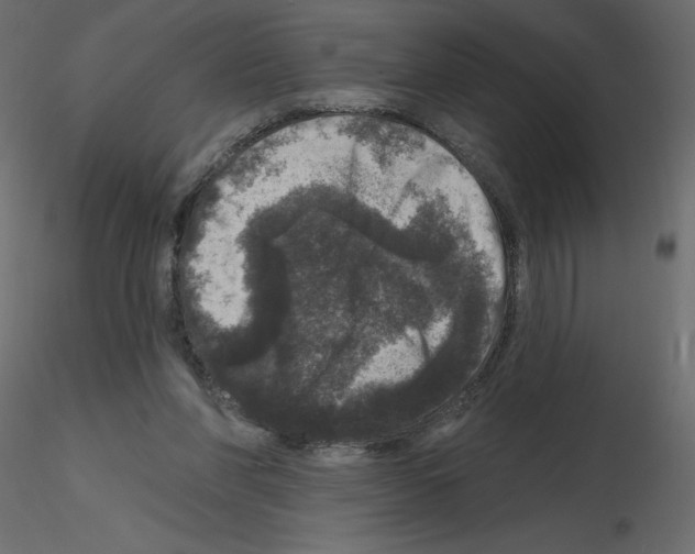 X0000115670206200912241426