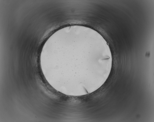 X0000115670207200912241426