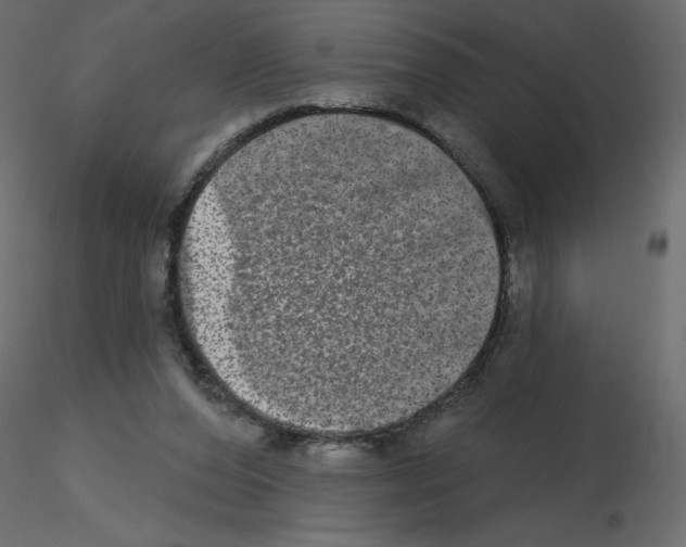 X0000115670208200912241426