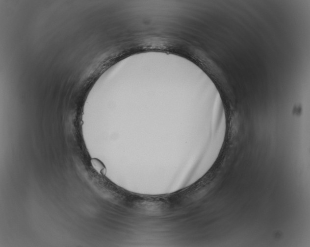 X0000115670209200912241426