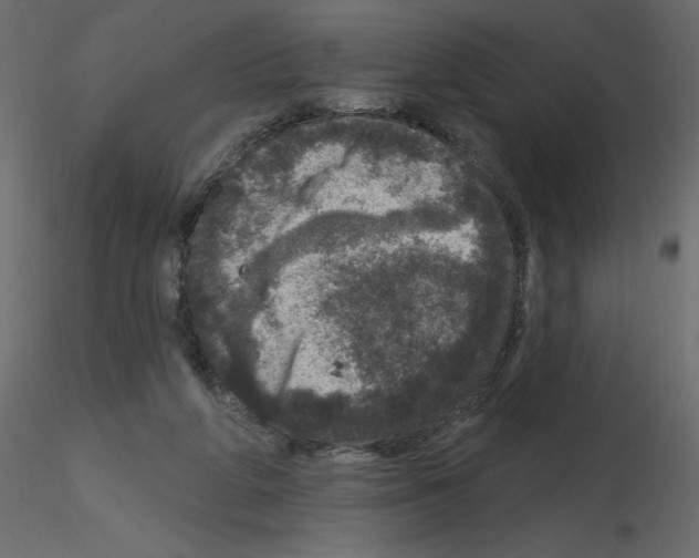 X0000115670210200912241426