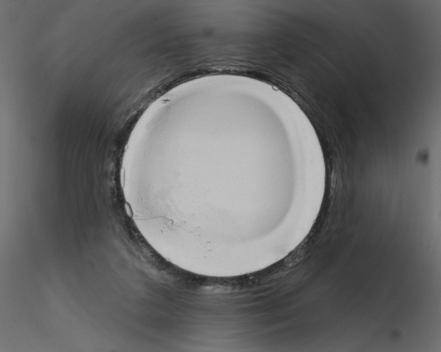 X0000115670211200912241426