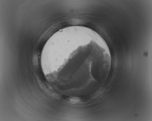 X0000115670214200912241426