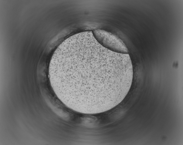 X0000115670215200912241426